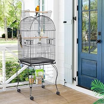 豚bird Amazon.com : Yaheetech 59-inch Dome Open Top Large Medium